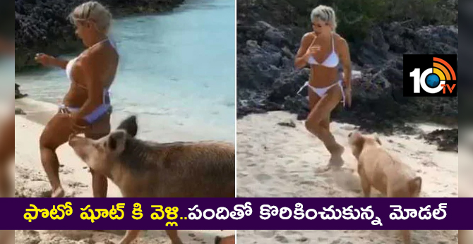 https://10tv.in/international/models-photoshoot-pig-island-goes-very-wrong-5-million-views-video-3841-7123.html