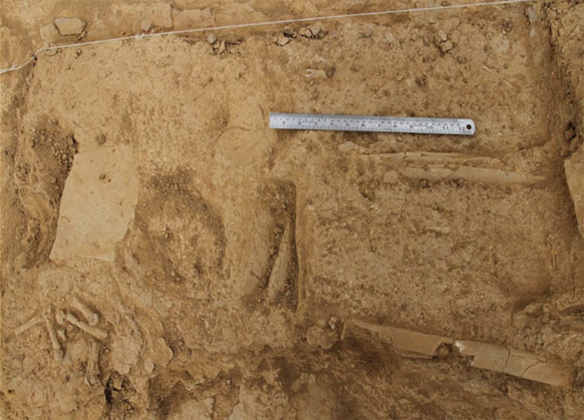Six feets human skeleton found in Kutch, Discover Graves, Burial sites, Harappan Civilization