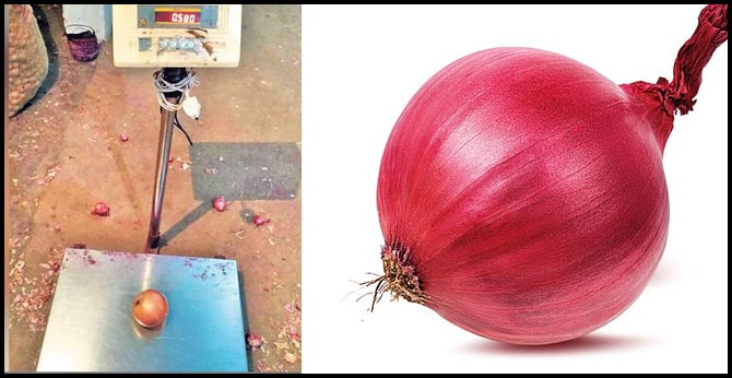 onion