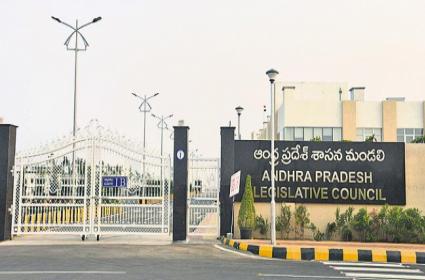 ap council