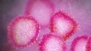cvirus