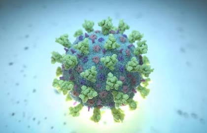 covid-19 photos up close with the deadly coronavirus