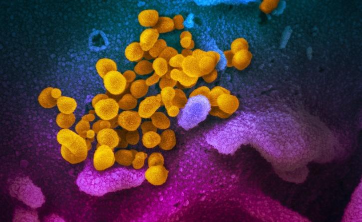 India Could Have A Coronavirus Drug In 6-10 Weeks As Cipla, CSIR And IICT Unite To Find Vaccine