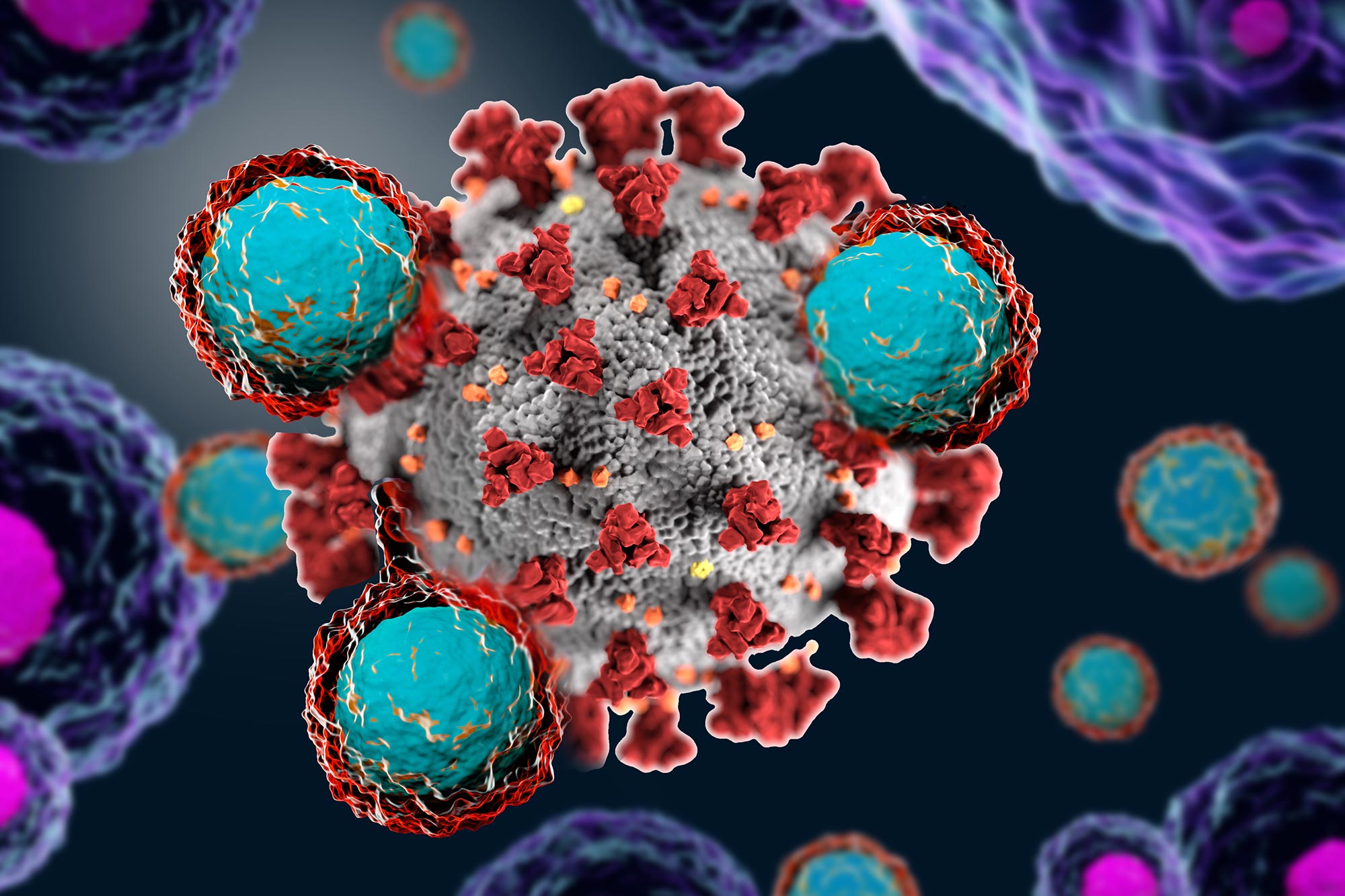 Why we might not get a coronavirus vaccine