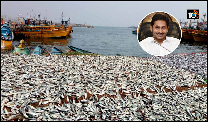 https://10tv.in/andhra-pradesh/cm-to-lay-stone-for-ameenabad-fishing-harbour-virtually-150577.html