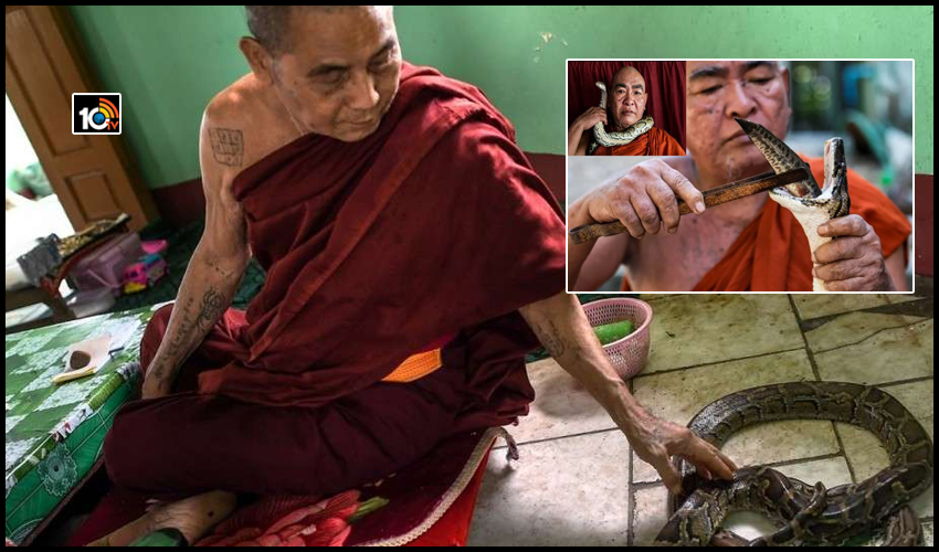 https://10tv.in/international/myanmar-buddhist-monk-has-created-refuge-snakes-157375.html
