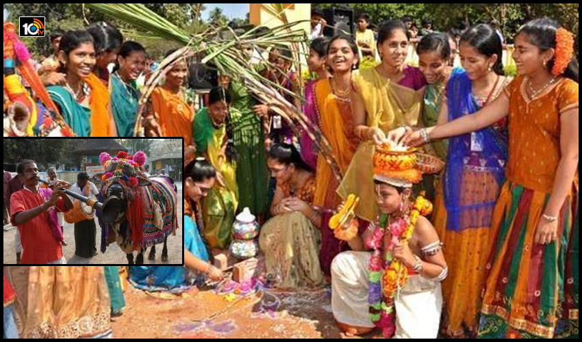 https://10tv.in/andhra-pradesh/sankranthi-celebrations-telugu-states-174204.html