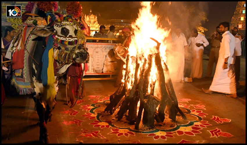 https://10tv.in/andhra-pradesh/sankranti-celebrations-in-telugu-states-bhogi-fires-from-early-morning-173806.html