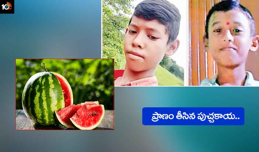 https://10tv.in/telangana/two-brothers-died-after-eating-watermelon-209087.html