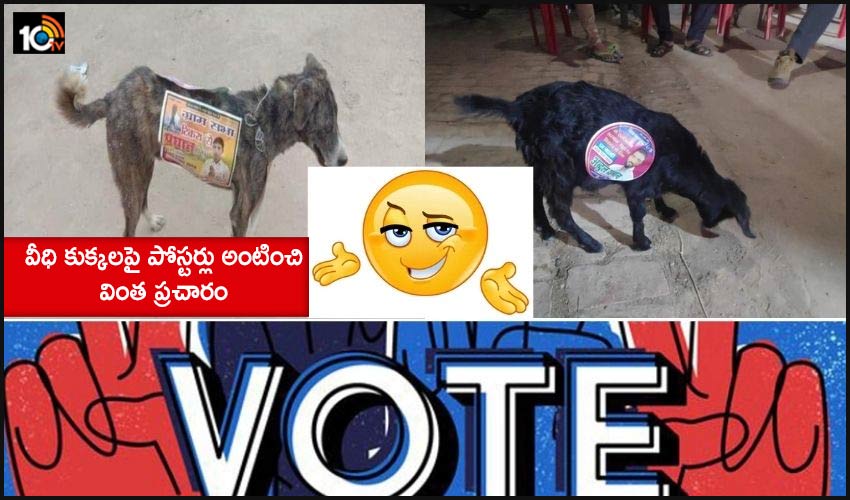 Stray Dogs Campaign: వీధి కుక్కలపై పోస్టర్లు అంటించి వింత ప్రచారం