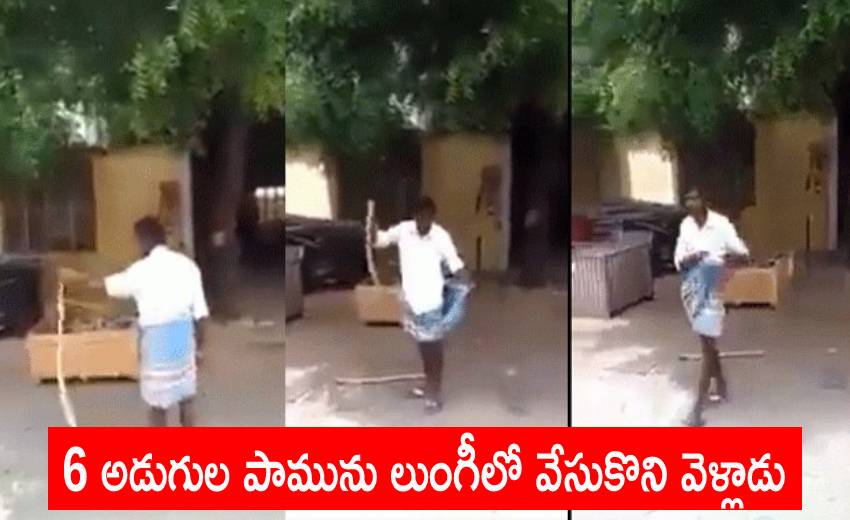https://10tv.in/national/brave-man-catches-snake-puts-it-his-lungi-226624.html