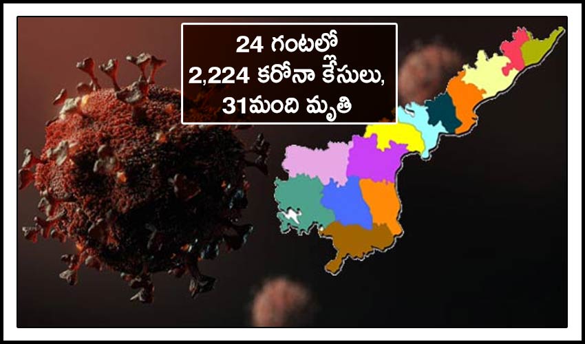 Andhrapradesh : 24 గంటల్లో 2,224 కరోనా కేసులు, 31మంది మృతి