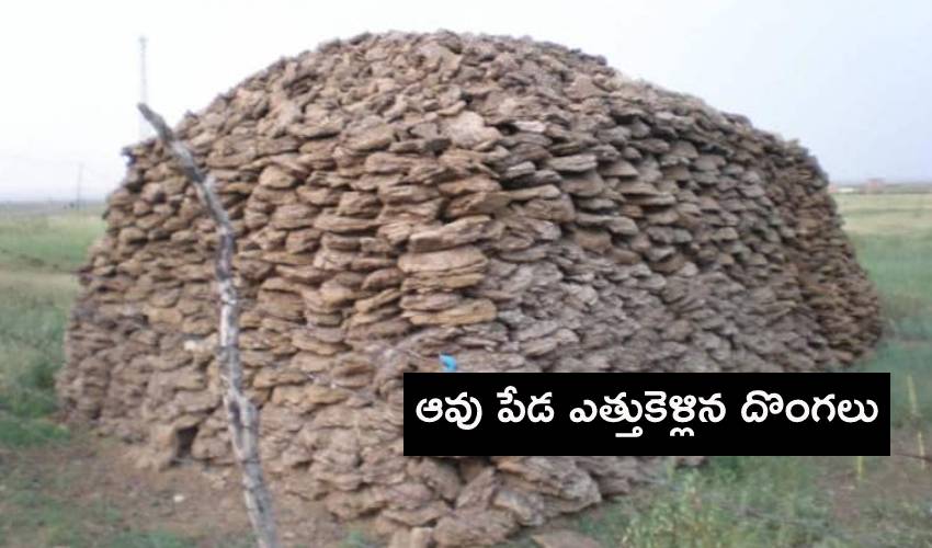 https://10tv.in/national/thieves-stole-cow-dung-in-chhattisgarh-240506.html