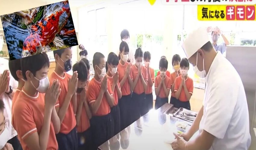 https://10tv.in/international/japan-controversial-school-project-leaves-students-in-a-fishy-dilemma-256062.html