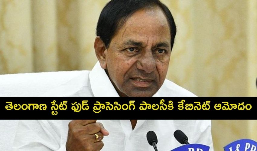 https://10tv.in/telangana/telangana-cabinet-approval-for-state-food-processing-250480.html