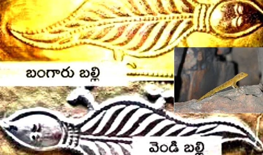 https://10tv.in/latest/do-you-know-the-real-secret-behind-the-gold-and-silver-lizards-in-kanchi-259439.html