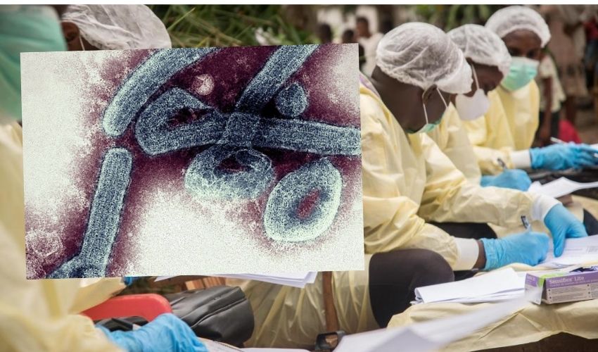 https://10tv.in/international/marburg-virus-africa-guinea-records-1st-death-from-highly-infectious-marburg-virus-261595.html
