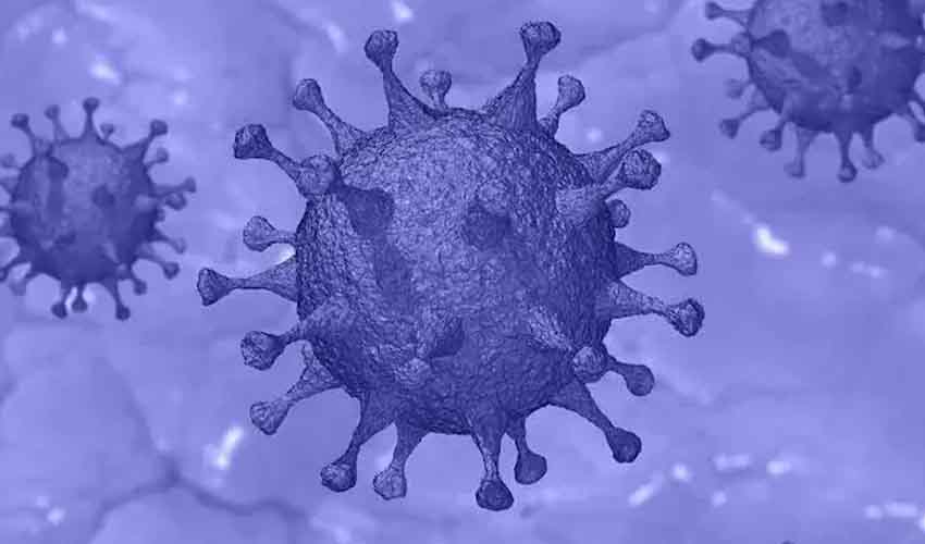 SARS-CoV-2 Antibodies : కరోనా నుంచి కోలుకున్న వారికి శుభవార్త, 7నెలల తర్వాత కూడా స్థిరంగా యాంటీబాడీలు