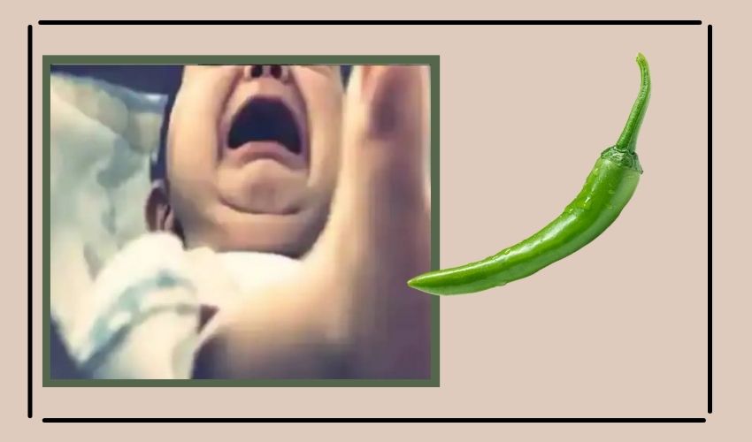 https://10tv.in/national/madhya-pradesh-green-chili-piece-stuck-in-the-trachea-262844.html