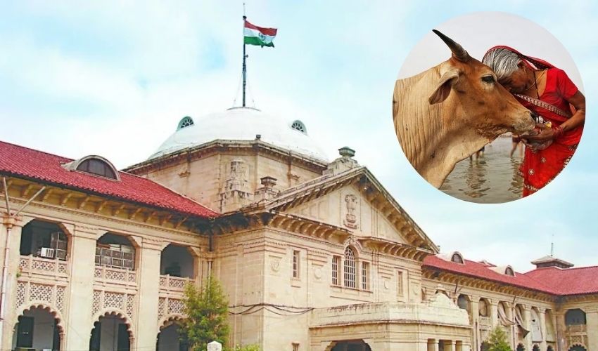 https://10tv.in/national/cow-as-national-animal-allahabad-high-court-reference-to-the-central-govt-270533.html