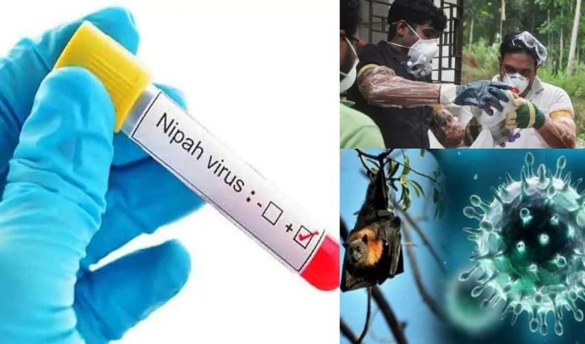 Nipah virus : కేరళలో నిఫా వైరస్ సోకి 12 ఏళ్ల బాలుడు మృతి