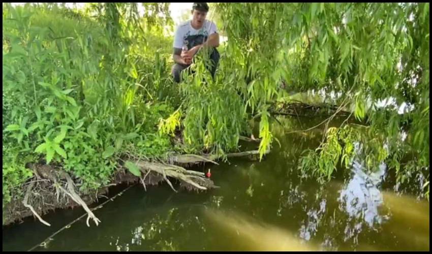 Shocking Video : నదిలో చేపలకు గాలం వేశాడు.. భారీ చేప అతన్ని ఈడ్చుకెళ్లింది!