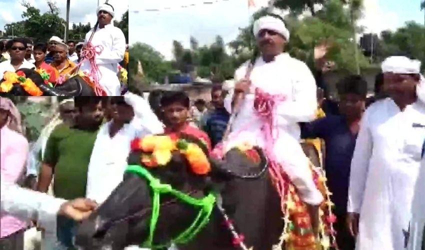 Bihar Panchayat Polls : గేదెపై వచ్చి నామినేషన్..ఎందుకో తెలుసా