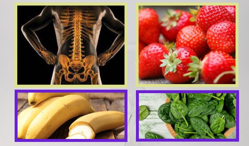 https://10tv.in/life-style/these-are-the-fruits-and-vegetables-that-should-be-taken-for-bone-health-271230.html