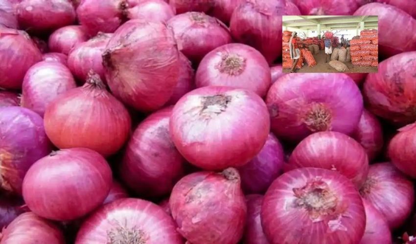 Onion : ఒక్కరోజే రూ.7 పెరిగిన ఉల్లిగడ్డ ధర