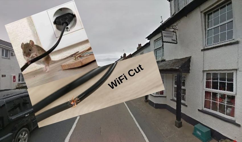 https://10tv.in/international/london-up-to-2000-residents-left-without-internet-rats-chewed-broadband-cables-devon-295796.html