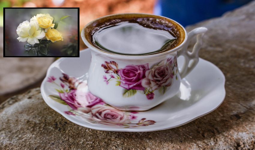 https://10tv.in/life-style/rose-tea-for-weight-loss-295290.html
