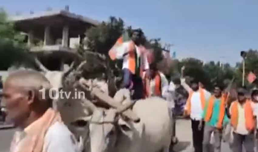 BJP Bull Cart : అయ్యయ్యో… బెదిరిన ఎద్దులు, బీజేపీ నేతలకు గాయాలు