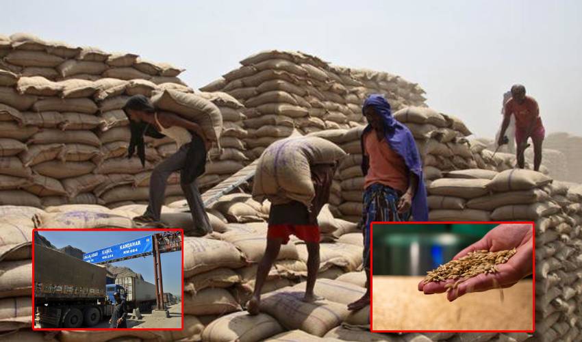 https://10tv.in/international/pakistan-to-permission-transportation-of-indian-wheat-to-afghanistan-308964.html