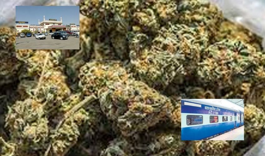 Cannabis Smuggling : రైలు ఏసీ బోగీల్లో రూ.3 కోట్ల విలువైన గంజాయి తరలింపు | Rs 3 crore worth of cannabis smuggled in train AC bogies