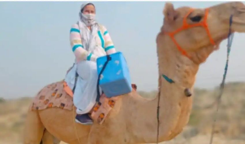 https://10tv.in/national/female-health-worker-rides-camel-to-rajasthan-village-for-vaccination-drive-337028.html