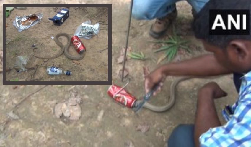 https://10tv.in/latest/odisha-cobra-got-stuck-inside-a-beer-can-in-the-forest-range-of-baripada-322168.html