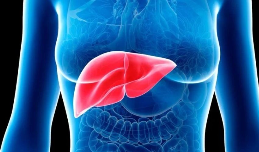 https://10tv.in/life-style/if-you-have-these-symptoms-it-is-as-if-you-have-a-liver-problem-326315.html