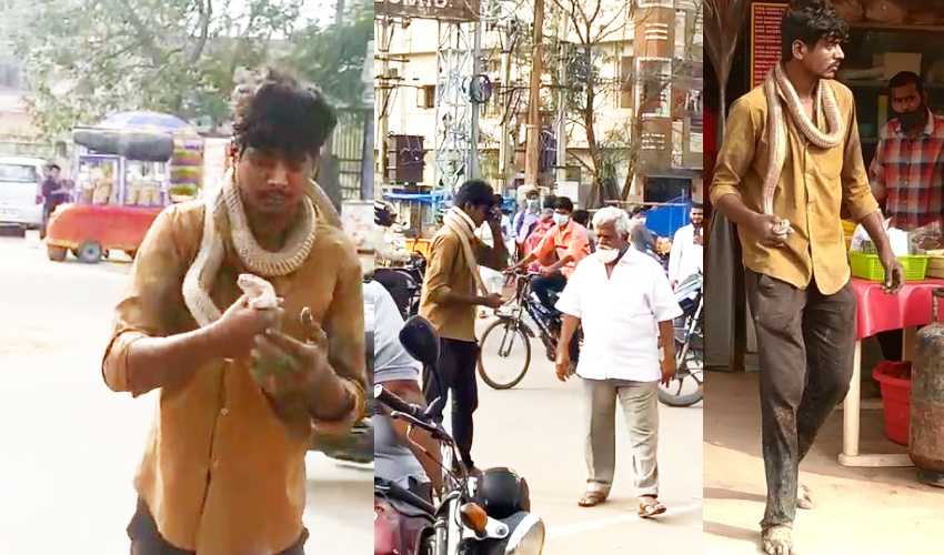 https://10tv.in/telangana/drunken-man-warns-public-with-snake-into-the-neck-322403.html