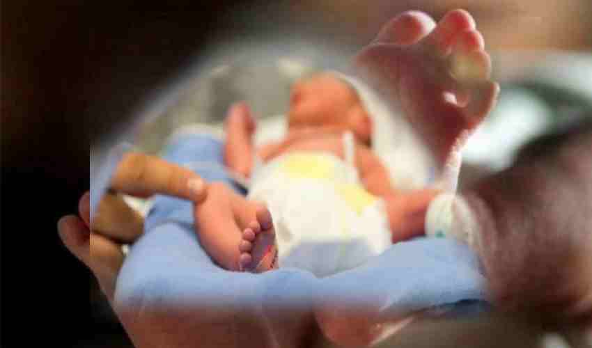 https://10tv.in/latest/madhya-pradesh-sncu-is-most-unsafe-daily-37-infants-dies-daily-in-this-hospital-336270.html