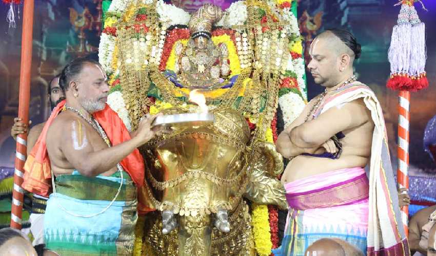 Tiruchanoor Brahmotsavam 2021: గజ వాహనంపై శ్రీమహాలక్ష్మీ అలంకారంలో శ్రీ పద్మావతి అమ్మవారు | Tiruchanoor Brahmotsavam 2021