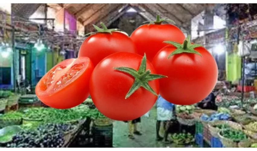 https://10tv.in/national/tomato-prices-rise-touched-rs-100-per-kilogram-in-the-koyambedu-wholesale-vegetable-market-in-chennai-323720.html