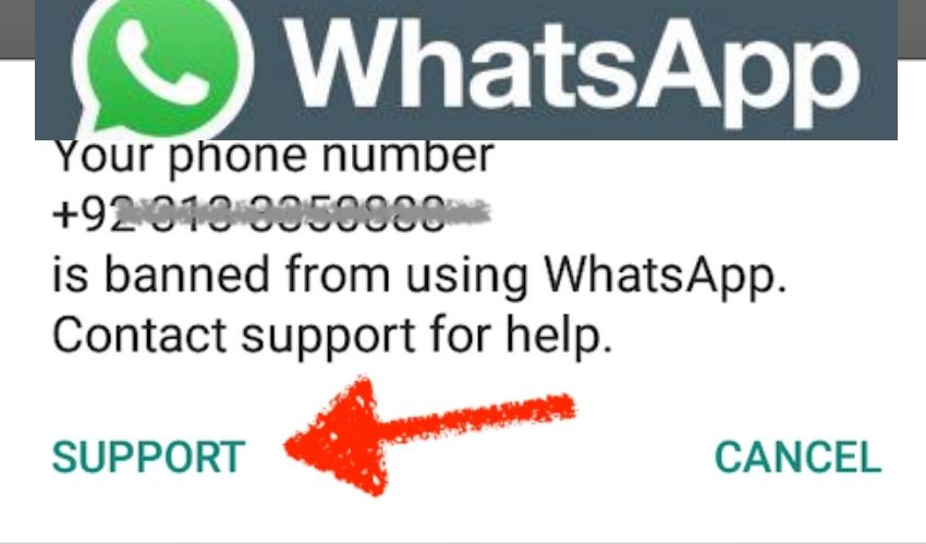 https://10tv.in/technology/whatsapp-accounts-banned-know-reasons-for-getting-banned-326869.html