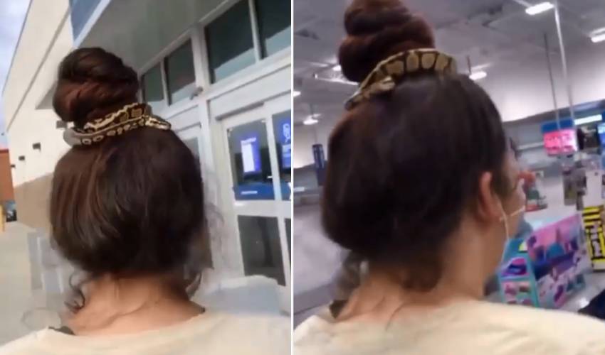 https://10tv.in/international/woman-wraps-snake-around-hair-instead-of-hairband-336600.html