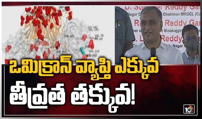 https://10tv.in/videos/minister-harish-rao-suggestions-about-omicron-336961.html