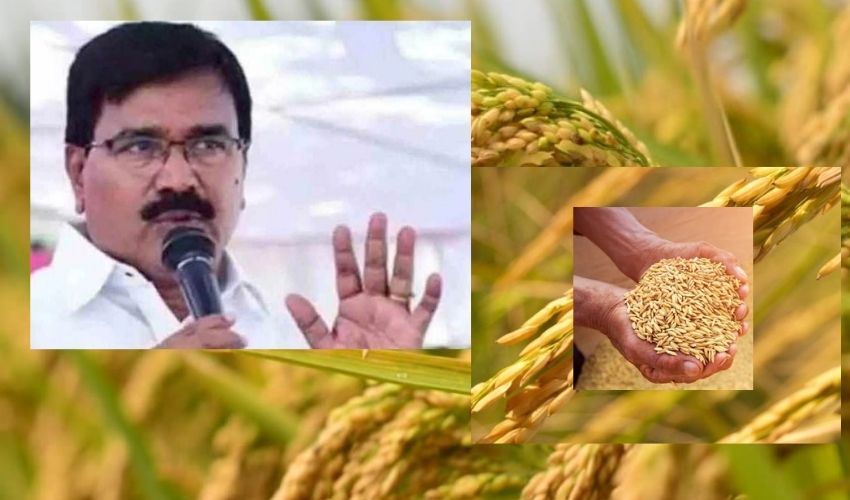 Telangana : ధాన్యం కొనేది లేదు..రైతులు ప్రత్యామ్నాయ పంటలు వేసుకోవాలి : మంత్రి సింగిరెడ్డి rice grain No procurement minister niranjan reddy