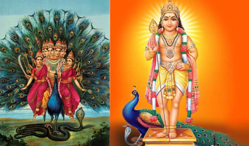 Subrahmanya Sashti 2021 : పెళ్లి కాని వారు, సంతానం లేని వారు సుబ్రహ్మణ్య షష్టి పూజ చేస్తే ఫలితం ఉంటుంది