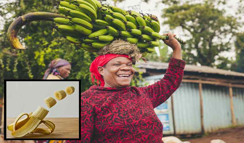 https://10tv.in/life-style/eat-three-bananas-a-day-stay-away-from-heart-attack-and-blood-pressure-361714.html