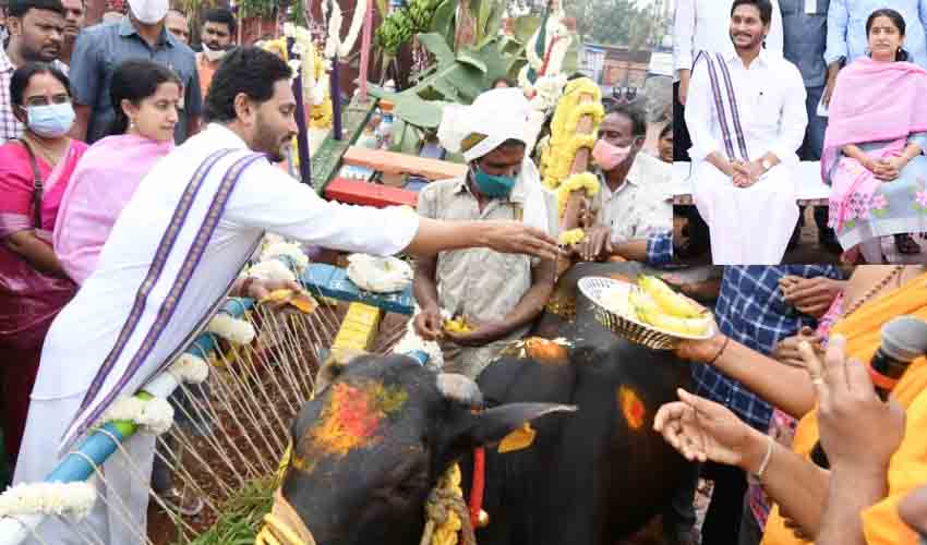 CM Jagan Sankranti : సంక్రాంతి వేడుకల్లో పాల్గొన్న సీఎం జగన్ దంపతులు | CM Jagan Couple Participates In Sankranti Bhogi Celebrations