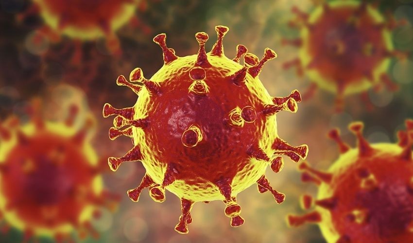 Coronavirus: భారత్‌లో తగ్గిన కరోనా కేసులు.. పెరిగిన మరణాలు
