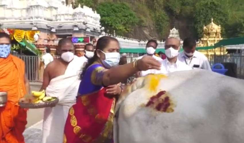 Kanuma Festival : కనుమ పండుగ సందర్భంగా ఇంద్రకీలాద్రిపై గోపూజ